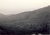 1966 rip sPioX - uscita di alta sq a villa viola - panorama4.jpg