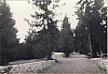1966 rip sPioX - uscita di alta sq a villa viola - panorama5.jpg