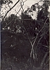 1966 uscita rip sPioX a possagnovilla viola_1.jpg