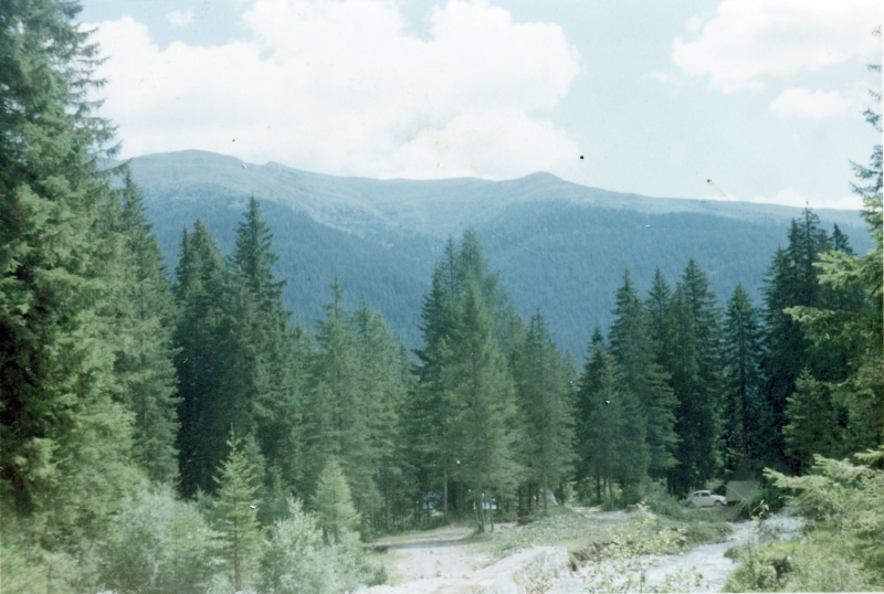 1966 campo alte cime - valgrande - rip sPioX -il luogo del campo.jpg