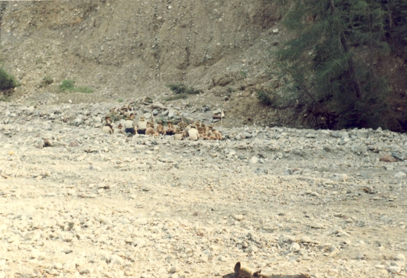 1967_rip sPioX - campo 5 frecce -vigo-laggio- cerchio al torrente.jpg