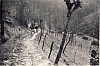 1967 rip sPioX - uscita invernale sui colli.jpg