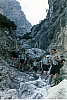 1968 rip s pioX-campo fuochi lontani -alberghi di collalto-campo mobile dei barboni_6.jpg