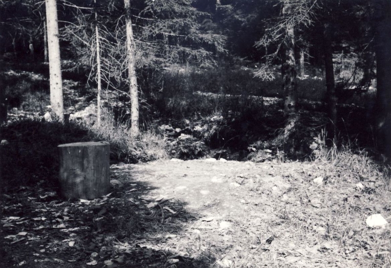 1968 rip s pioX-campo fuochi lontani -alberghi di collalto-natura.jpg