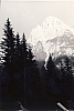 1968 rip s pioX-campo fuochi lontani -alberghi di collalto-croda alta di somprade.jpg
