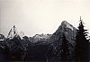 1968 rip s pioX-campo fuochi lontani -alberghi di collalto-croda del mescol.jpg