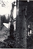 1968 rip s pioX-campo fuochi lontani -alberghi di collalto-don pio e costruzioni.jpg