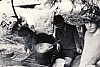 1968 rip s pioX-campo fuochi lontani -alberghi di collalto-gara cucina_2.jpg
