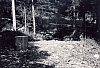 1968 rip s pioX-campo fuochi lontani -alberghi di collalto-natura.jpg