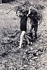 1968 rip s pioX-campo fuochi lontani -alberghi di collalto-raccolta legna.jpg