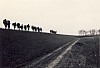 1969 san giorgio grave di maserada_2.jpg