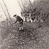 1970 rip s pioX - uscita alta sq  - Possagno Villa Viola-13.jpg