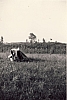 1970 rip s pioX alta sq raid bici TV-montello_10 - tenda capo rip.jpg