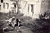1970 rip s pioX alta sq raid bici TV-montello_8.jpg