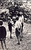 1971- vdb branco sPioX e sBona--promessa.jpg