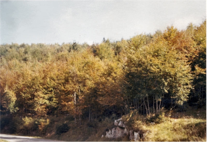 1971 rip s pioX Uscita grotte calieron_3.jpg
