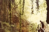 1971 rip s pioX Uscita grotte calieron_4.jpg