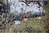 1971 rip s pioX Uscita grotte calieron_8.jpg
