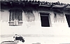 1971 rip sPioX Uscita primaverile sui coll di Cornuda_1.jpg