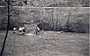1971 rip sPioX Uscita primaverile sui coll di Cornuda_2.jpg