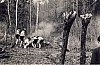1971 rip sPioX Uscita autunnale sui colli_4.jpg