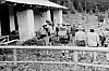 1973  rip s pioX - campo fiaccola accesa - Val da rin - uscita di rip al pian dei buoi 11.jpg