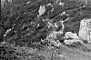 1973  rip s pioX - campo fiaccola accesa - Val da rin - uscita di rip al pian dei buoi 15.jpg