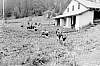 1973  rip s pioX - campo fiaccola accesa - Val da rin - uscita di rip al pian dei buoi 9.jpg