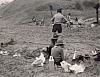 1973 rip s pioX uscita in collina - cucina di sq_1.jpg