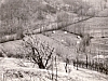 1973 rip s pioX uscita in collina - le tende.jpg