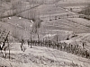 1973 rip s pioX uscita in collina - le tende1.jpg