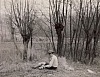 1973 rip s pioX uscita in collina - setten cucina.jpg