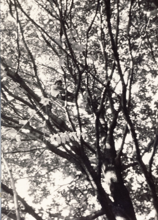 1973 rip s pioX - uscite di sq - istantanea_2.jpg