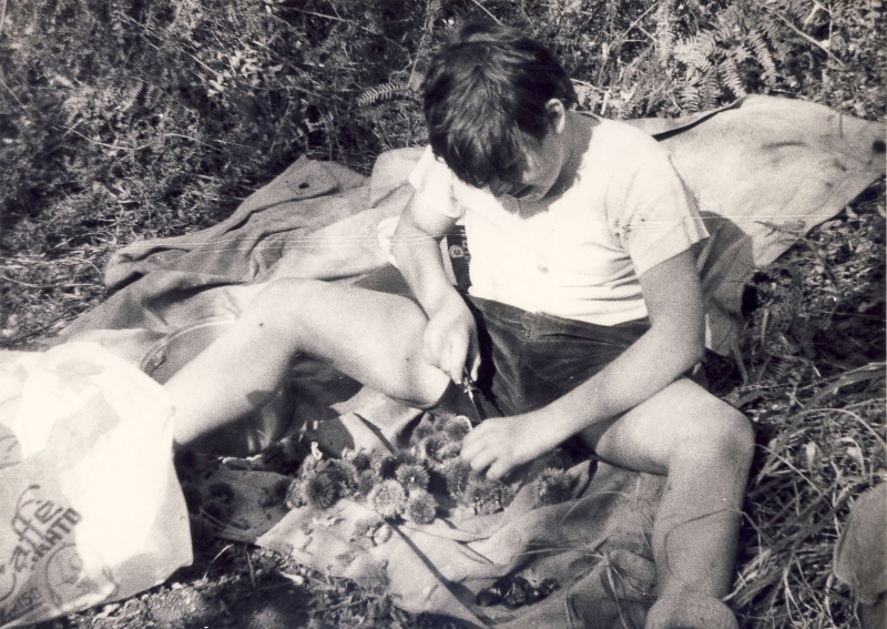 1973 rip s pioX - uscite di sq - preparazione caldarroste_1.jpg