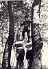 1973 rip s pioX - uscite di sq - istantanea_1.jpg