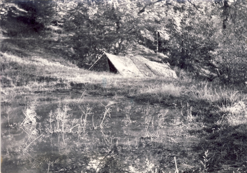 1974 clan nuova strada - sPioX -uscita fossili a Campea_7.jpg