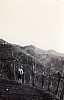 1974 clan nuova strada - sPioX -uscita fossili a Campea_8.jpg