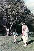 1974 vdb 3branchi del TV2 a Villa di Pria-sGiustina BL - Palio di villa di Pria - gioco di squadra_3.jpg