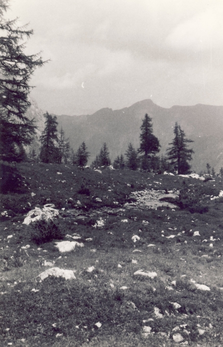 1975 campo mobile clan n_strada malga ciapela contrin fuchiade roccapietore - sul sentiero_1.jpg