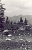1975 campo mobile clan n_strada malga ciapela contrin fuchiade roccapietore - sul sentiero_1.jpg