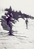 1975 Clan sPioX nuova strada - uscita invernale Pianezze e Croce d'Aune 9-10-feb - Bramezza in azione_1.jpg