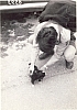 1975 clan n_strada uscita al piave x partenze_5.jpg