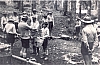 1975 rip sPioX e MdRovere -campo chiaro mattino - collina di forni avoltri - promessa.jpg