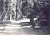 1975 rip sPioX e MdRovere -campo chiaro mattino - forni avoltri - portale del campo.jpg