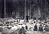 1975 rip sPioX e MdRovere -campo chiaro mattino - forni avoltri - riflessione spirituale.jpg