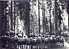 1975 rip sPioX e MdRovere -campo chiaro mattino - forni avoltri - santa messa.jpg
