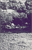 1976 clan nuova strada - sPioX - Vito d'asio - campo di servizio - vitodasio16-tende_del_clan.jpg