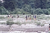 1977 013 Claut.jpg