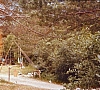 1977 021 Claut.jpg