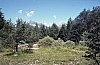 1977 022 Claut.jpg